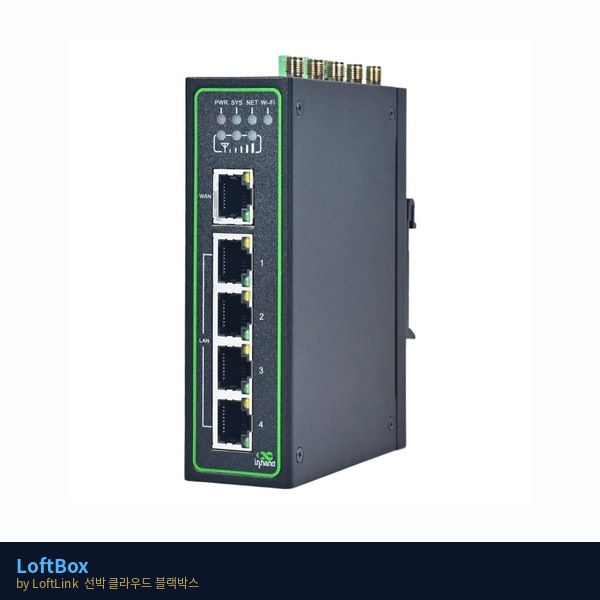 InHand IR315 LTE 라우터